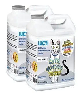 2/20lb Lucy Pet Cats Incredible Unscented Litter Jug - Treats